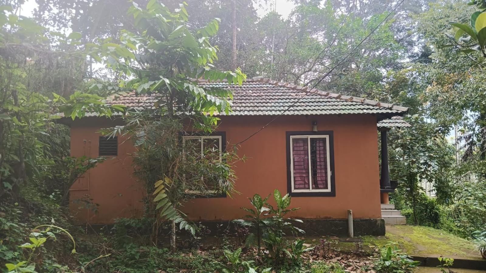 Jungle Valley Ayurvedic Spa Resort Meppādi Exterior foto